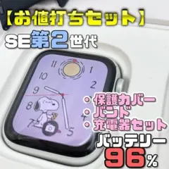 【お値打ちセット】BT96% SE2 保護カバー＋バンド＋充電器セット
