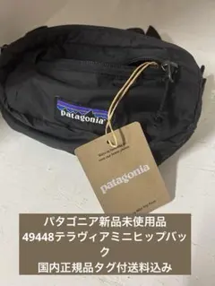 未使用タグ付きpatagoniaパタゴニア　ウエストポーチ 新品 未使用 タグ付き パタゴニア ウエストポーチ ゲッコー