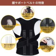 Item thumbnail for item cfef3dd3-5a91-4632-a9ba-b1f4f3f7aedc