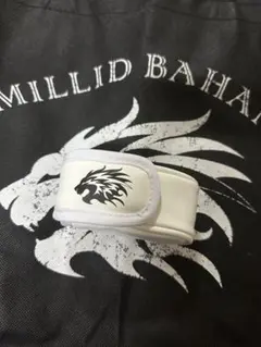 Item thumbnail for item e234ce38-52c0-47f8-a1a0-63645dea4615