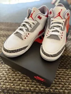 Nike Air Jordan 3 Retro OG 