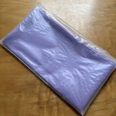 Item thumbnail for item 9e1e8258-000d-4924-b87b-5c5e5cd9455a