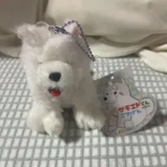 2025年最新】くったりサモエド ごきげんの人気アイテム - メルカリ