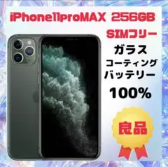 早い者勝ちで 短期出品 iPhone11 promax 256gb iPhone 早い者勝ちで 短期出品 iPhone11 promax 256gb iPhone 早い者