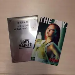 HANA ハナ CHIKA チカ トレカ ボディメンテ