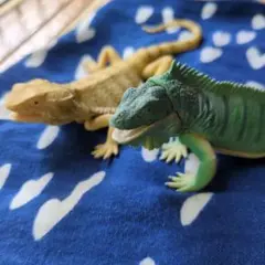 トカゲフィギュア 2体セット
