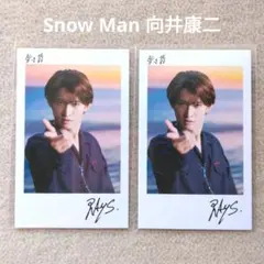 Snow Man RAYS CD特典 チェキ風カード 向井康二 2枚 ⑬