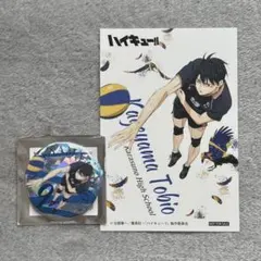 ハイキュー ゴミ捨て場の決戦 影山飛雄 まとめ売り