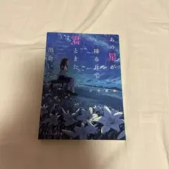 あの星が降る丘で君とまた出会いたい