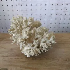 Item thumbnail for item 90788b94-48f7-406d-ad04-42ebbac8e48f