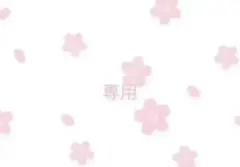COIN PARKING DELIVERY SANRIO コラボパーカー S-M - メルカリ