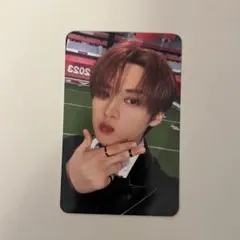 stayzone リノ トレカ