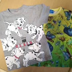 専用です！バグズライフ　120