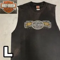 5WD589 USA製 HARLEY DAVIDSON ブラック フェード