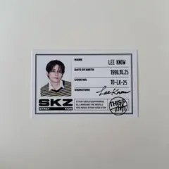 【匿名配送】Stray Kids THIS&THAT リノ