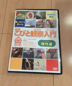 こびと観察入門 DVD 8巻セット - メルカリ