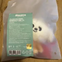 TXT PPULBATU プルバトゥ キーリング ボムギュ バムグッ