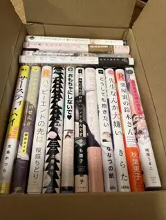 ボーイズラブ漫画セット　15冊