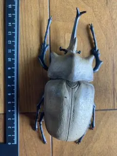 カブトムシ フィギュア