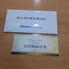 ヤマダ電機　株主優待券　5000円分