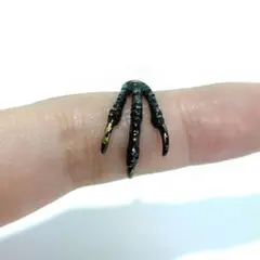 ブンチョウの足 リング　Molly Tippett