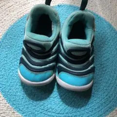 NIKE ナイキ ダイナモフリー