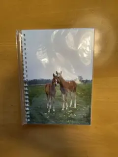 Item thumbnail for item 6d19b290-9a38-4362-bab4-1a10478e1813