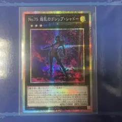 No.75 騒乱のゴシップ・シャドー PSE