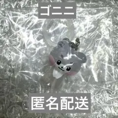 zeroni めじるしアクセサリー　ゴニニ　ゼベワン　ゴヌク