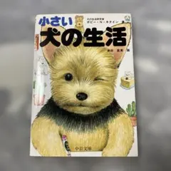 Item thumbnail for item 9638ed1e-322f-4846-8305-75749aae0e7a