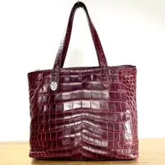 ✨未使用級✨JRA認定 シャイニング クロコダイル トートバッグ 