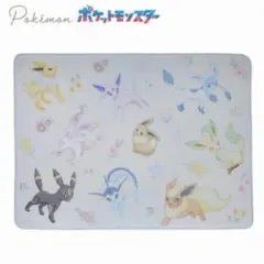 新品 ポケモン 巾着付き ブランケット　イーブイ