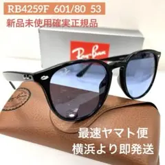 Ray-BanRB4171F710/T5偏光ERIKA54新品正規品 Ray-BanRB4171F710/T5偏光ERIKA54新品正規品 - メルカリ