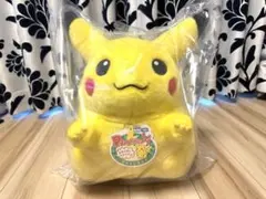 ポケットモンスター ポケモン30周年記念 おかえり！ピカチュウ1/1