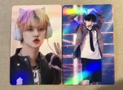 桃太郎様 リクエスト 2点 まとめ商品