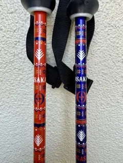 スキー ストック カーボン