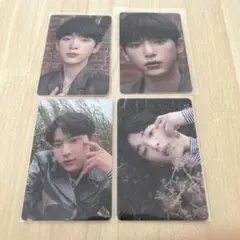 &team haruaハルア トレカ コンプ 【ポップアップストア】