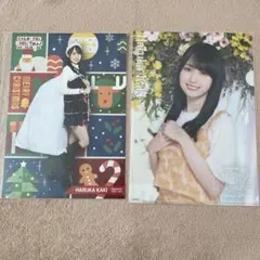 飛燕様 リクエスト 2点 まとめ商品