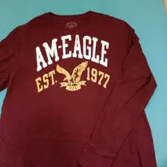 AM-EAGLE 長袖カットソー