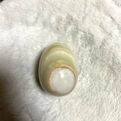 스톤 에그 오닉스