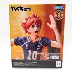 2026年最新】ハイプレミアムフィギュア 日向翔陽の人気アイテム - メルカリ