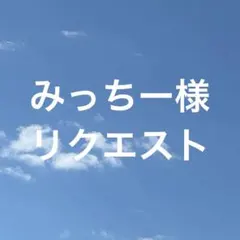 みっちー様 リクエスト 3点 まとめ商品