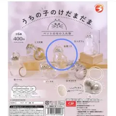 うちの子のけだまだま ガチャ　茶トラ　猫