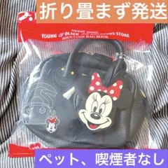 ☆レア！限定品☆ ディズニーホテル バッグアクセサリー 3点セット 