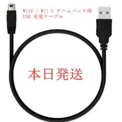 WiiU/Wii U 게임패드용 USB 충전 케이블