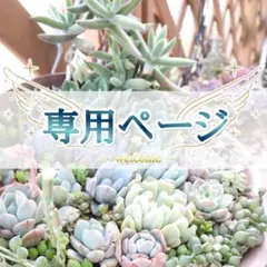 mi様 リクエスト 2点 まとめ商品
