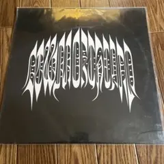 美品 LP DOWN NORTH CAMP レコード KID FRESINO参加