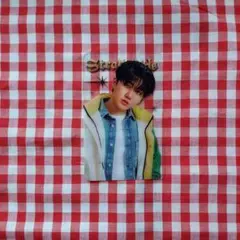 チャンビン タレントカード