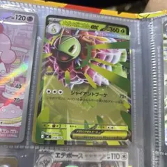 メガメガニウムex MEGA スタートデッキ100 バトルコレクション ノーマ