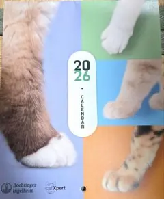 Item thumbnail for item 776c188b-4012-4a92-91ac-2e0bcae03902